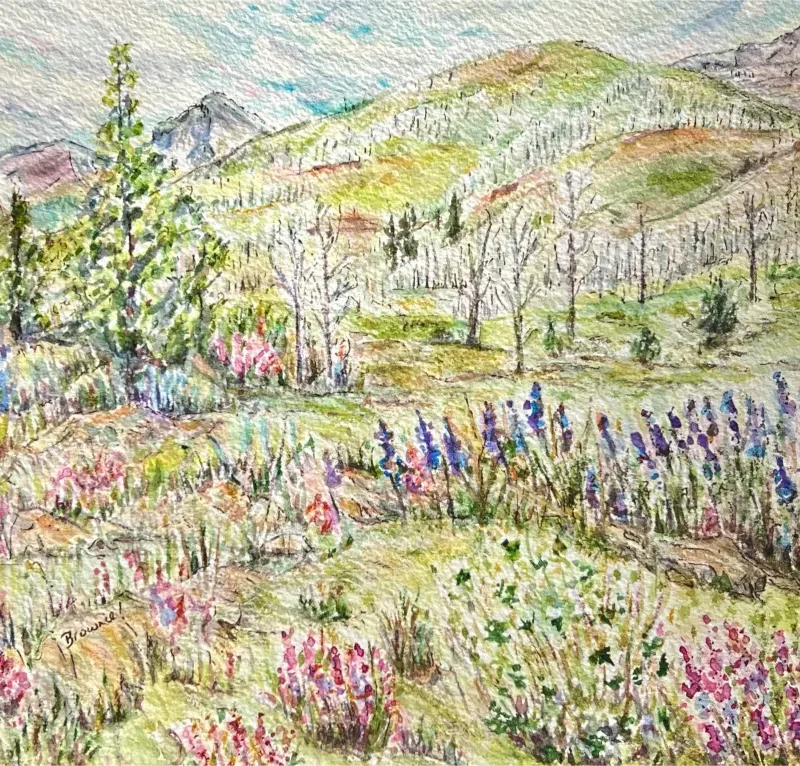 After Wildfire Come Wildflowers