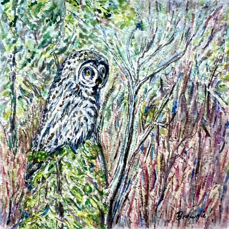 Perched with Intention