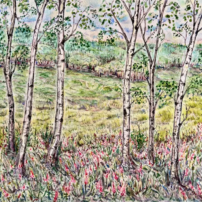 Summertime in the Valley